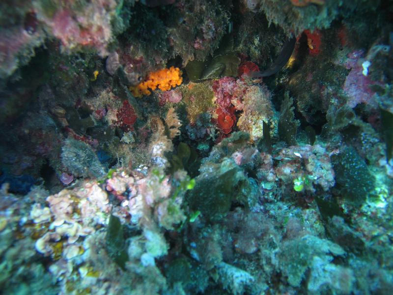 2010-09-12 13-05-46 Ludo.JPG